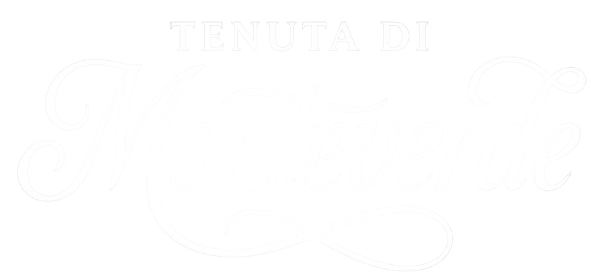 Logo HOMM interactive GmbH